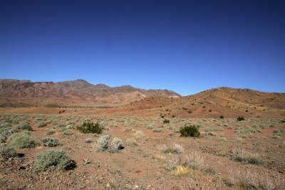 dv007.jpg