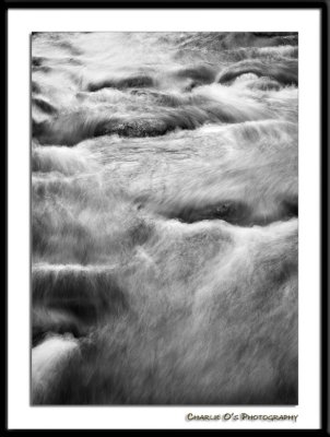 Chicago Creek in Black & White