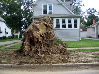 word is that the city wont take this stump...