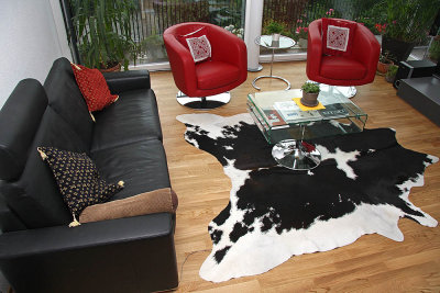 cow in the living room