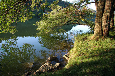 reflection in Rotsee