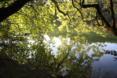 Rotsee - our home surrounding