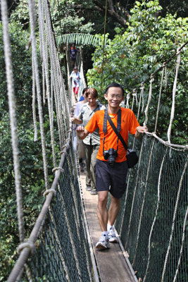 Canopy walkway im NationalparkTaman Negara