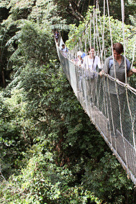Canopy walkway im NationalparkTaman Negara