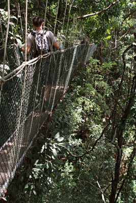 Canopy walkway inTaman Negara National Park