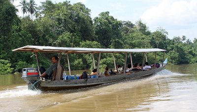 On the way up to National Park Taman Negara