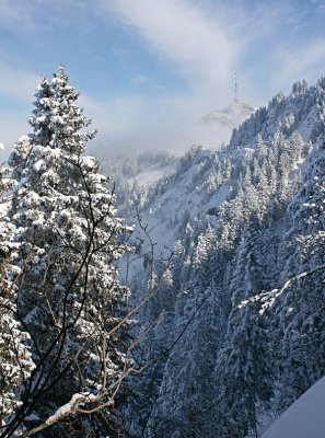 On the way to mount Rigi