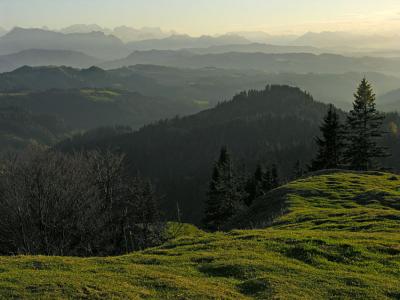 Morning has broken