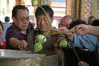 Praying with lotus