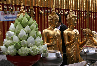 Lotus with golden Buddha