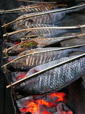 delicacy III - grilled fish