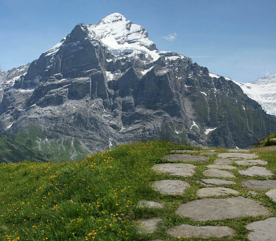 View from  Grindelwald First