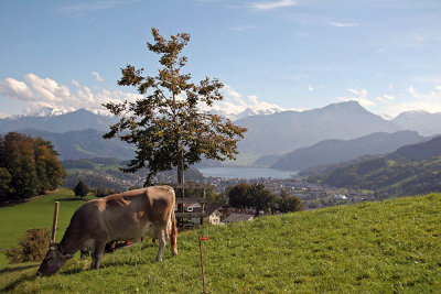 View from Sonnenberg to Horw 