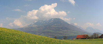 Spring time with mountain Rigi at background