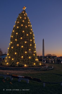 National Christmas Tree 2008