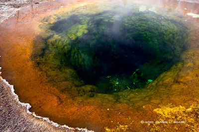 The Morning Glory Pool