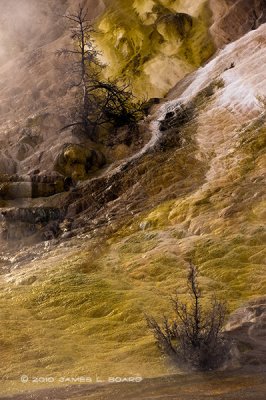 Mammoth Hot Spring