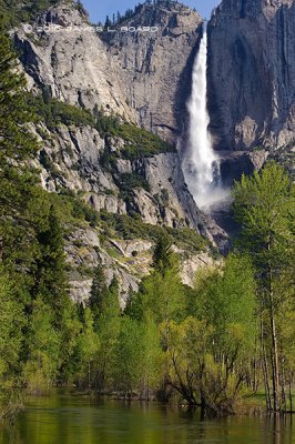 Yosemite Falls & The Merced River