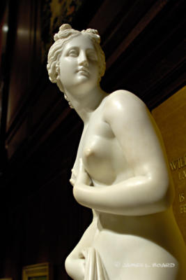 Venus (detail)