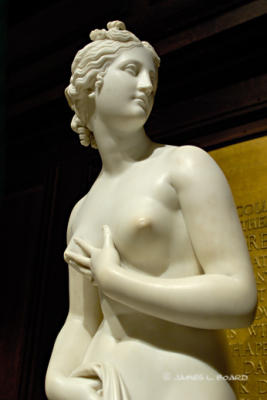 Venus