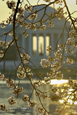 Sunrise over the Jefferson Memorial