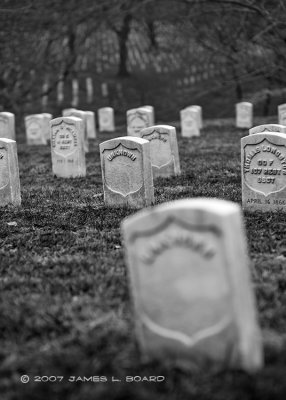 Arlington National Cemetery in Black & White