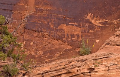 Hunters, Bear & Desert Big Horn Sheep Petroglyphs