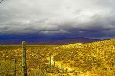 Approaching Storm