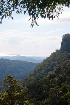 Springbrook NP