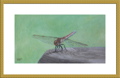 dragonfly 01.jpg