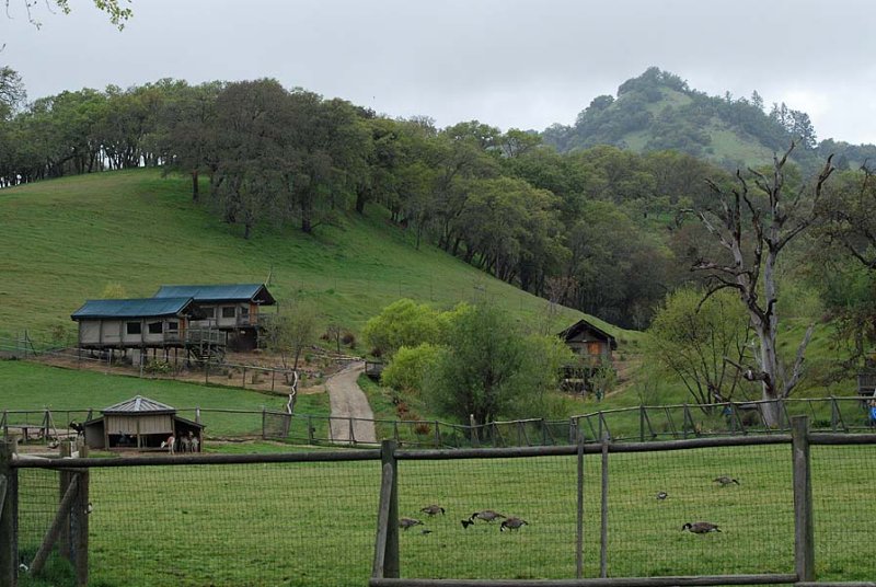View of the Compound