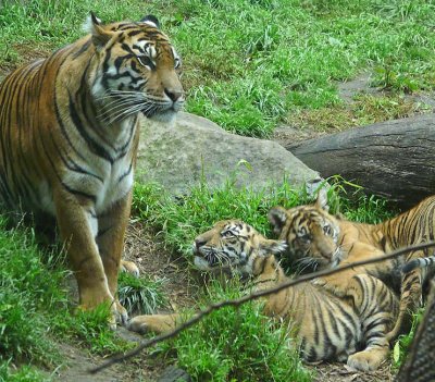 Eye On Mom