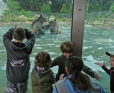 Grizzly Show