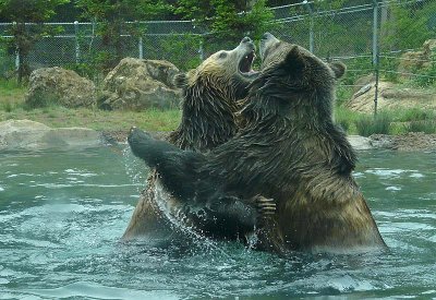 May I Have This Dance?