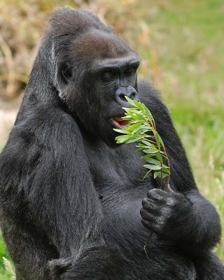 Female Having Lunch