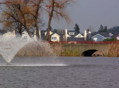 Pond and Bridge