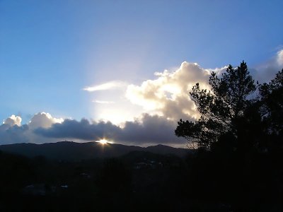 Sunstar