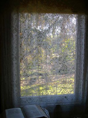 Lacey Window