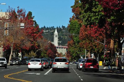 Berkeley Campanile In Fall