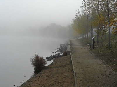 Path Into Fog