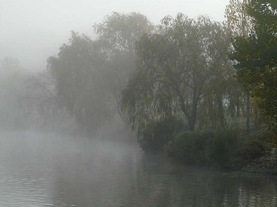 Pond and Mists