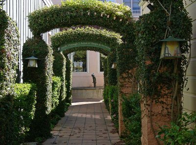 Hedge Archway