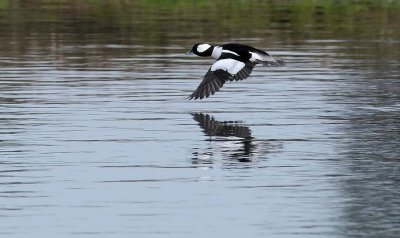 Airborne Reflections