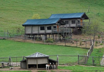 Tent Cabins