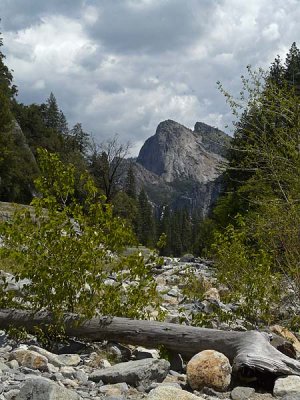 Log In Riverbed