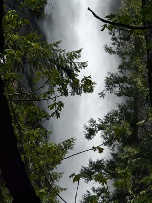 Bridalveil Fall through Branches