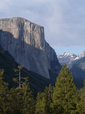 El Capitan and Trees