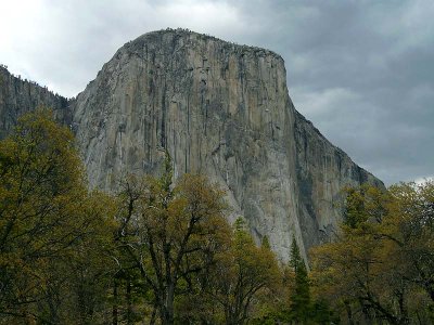 El Cap with Gold Trees