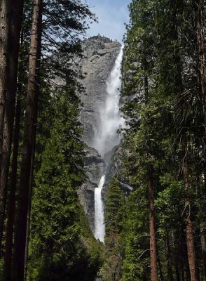 Redwoods and Three Falls