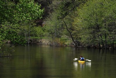 Peaceful Kayaking